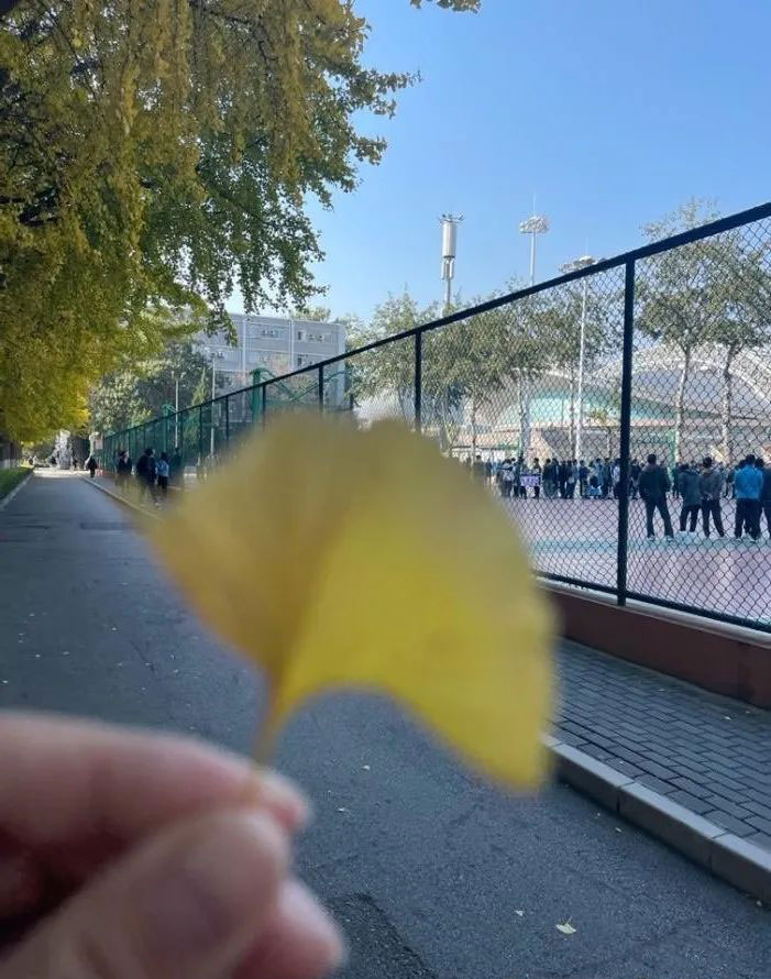 北理工2019级sqa即将毕业
