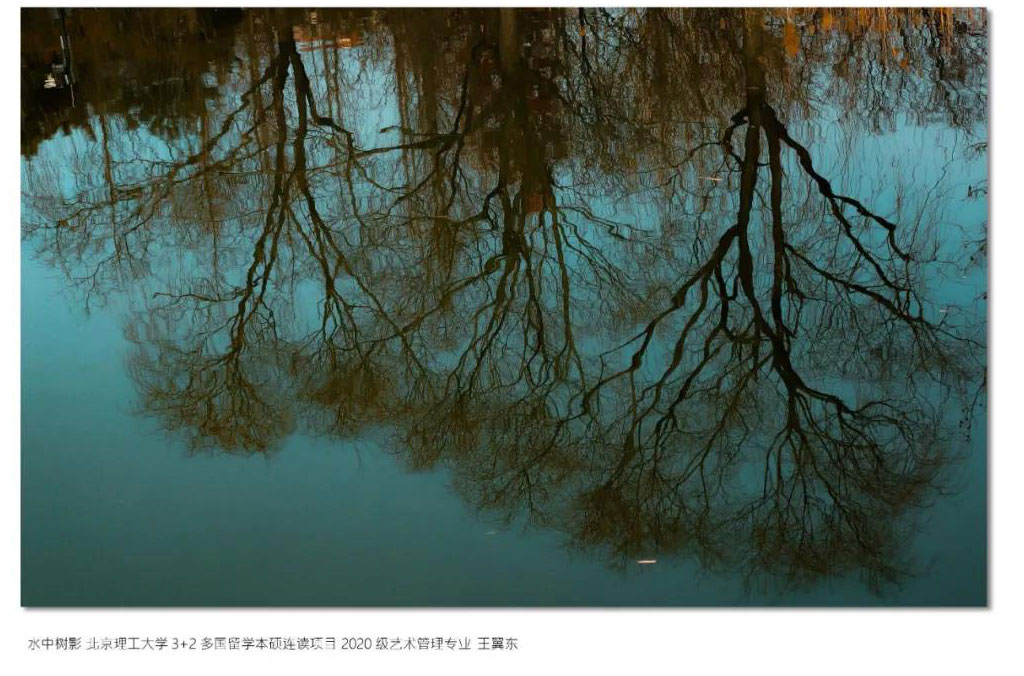北京理工大学多国留学国际本科国际艺术管理专业水中倒影