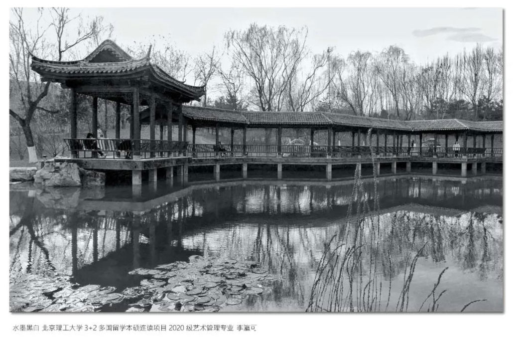 北京理工大学多国留学国际本科国际艺术管理专业水墨黑白