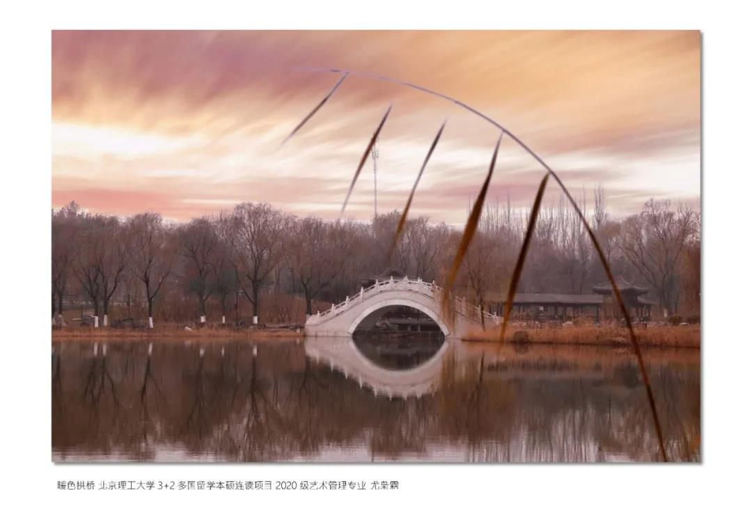 暖色拱桥北理工多国留学本硕连读2020级国际艺术管理专业尤枭霜