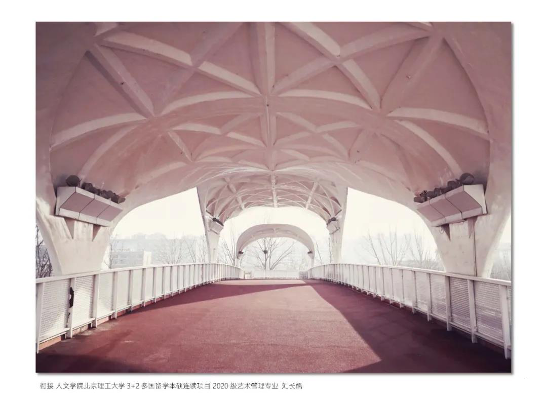衔接北理工多国留学本硕连读2020级国际艺术管理专业刘长儒