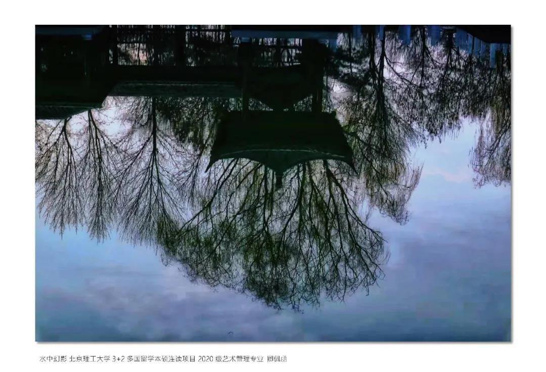 水中幻影北理工多国留学本硕连读2020级国际艺术管理专业卿佩函